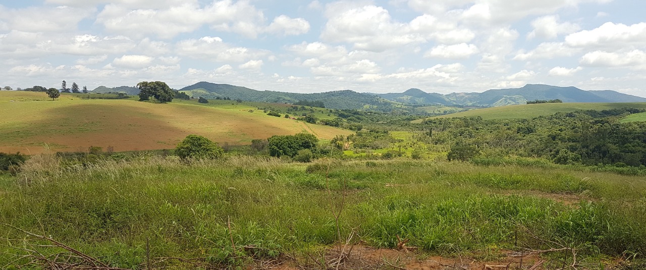 Chácara à venda com 3 quartos, 484000m² - Foto 6