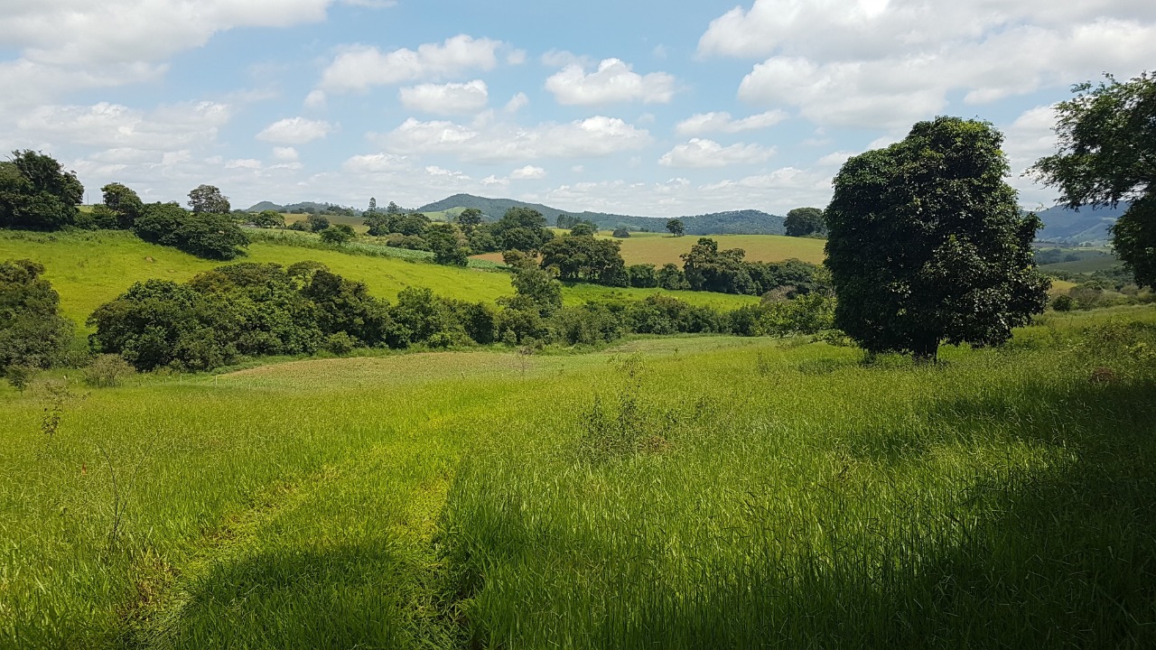 Chácara à venda com 3 quartos, 484000m² - Foto 9