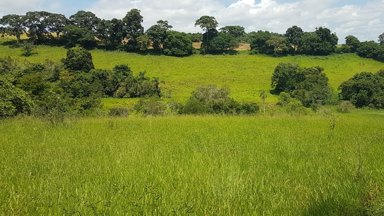 Chácara à venda com 3 quartos, 484000m² - Foto 7