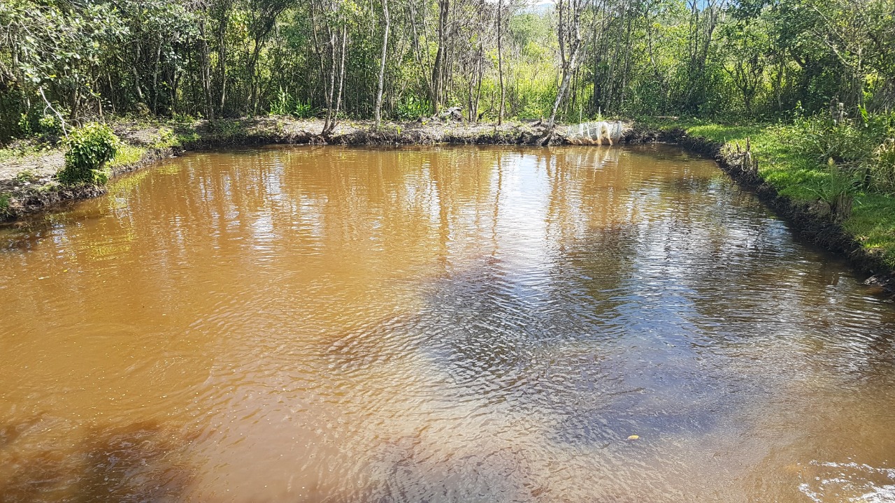 Chácara à venda com 3 quartos, 484000m² - Foto 18