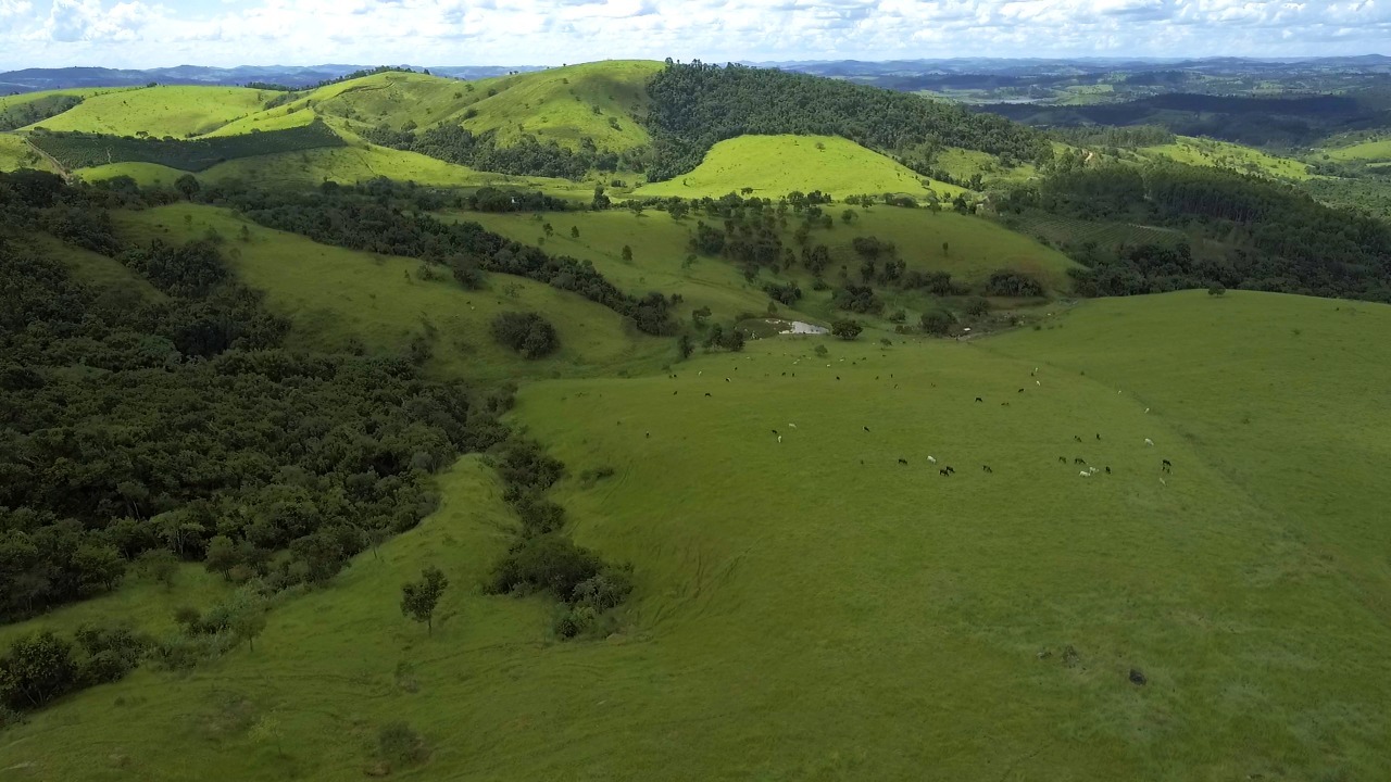 Chácara à venda com 1 quarto, 2200000m² - Foto 7