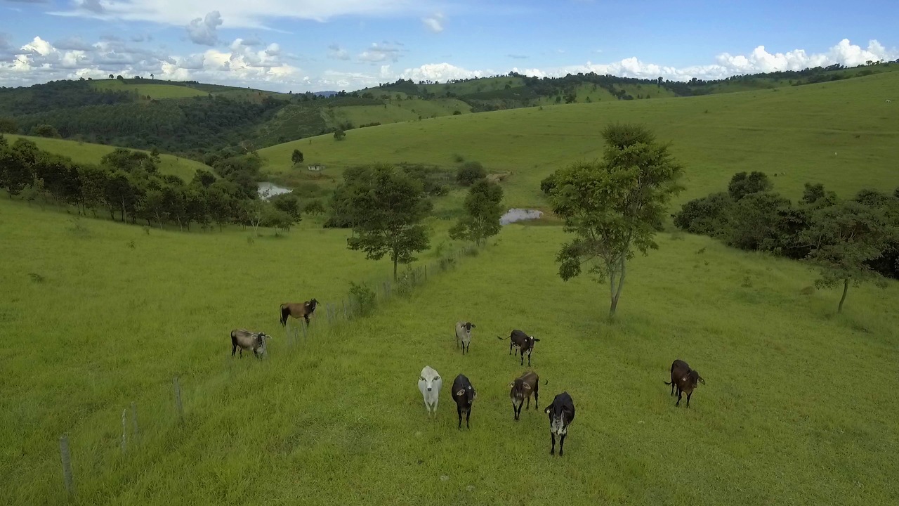 Chácara à venda com 1 quarto, 2200000m² - Foto 13