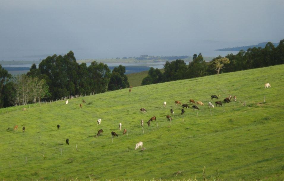 Chácara à venda com 2 quartos, 12830000m² - Foto 5