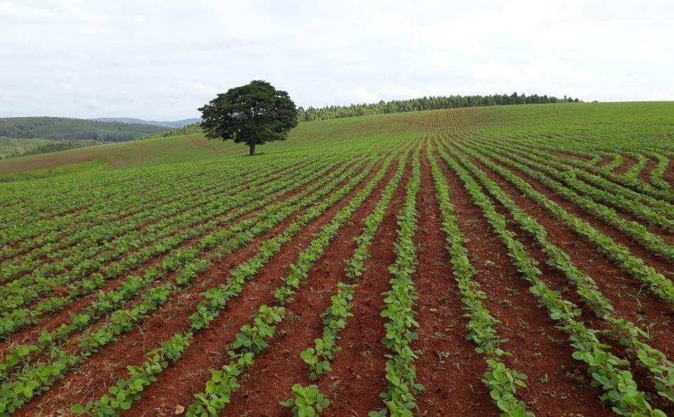 Chácara à venda com 2 quartos, 12830000m² - Foto 8