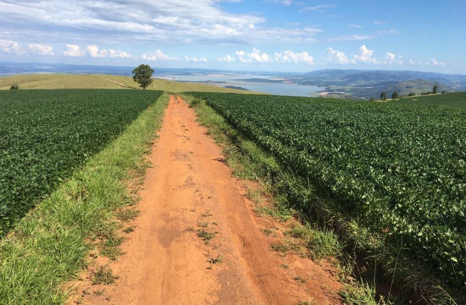 Chácara à venda com 2 quartos, 12830000m² - Foto 12