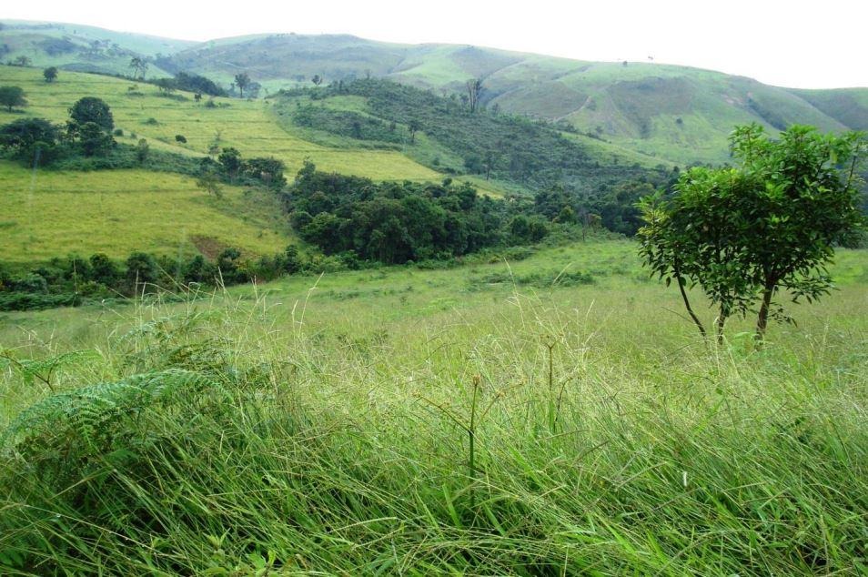 Chácara à venda com 2 quartos, 12830000m² - Foto 18