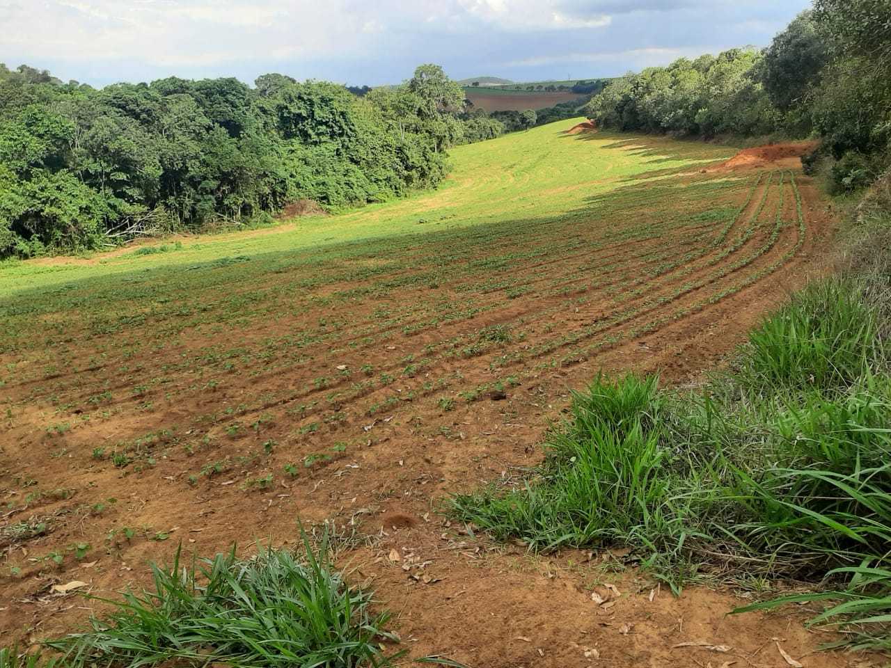 Chácara à venda com 1 quarto, 3338800m² - Foto 21