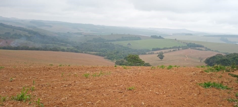 Chácara à venda com 1 quarto, 3338800m² - Foto 16