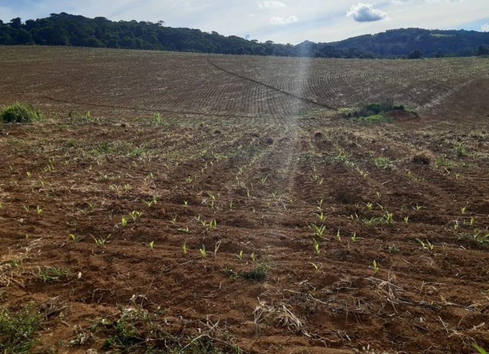 Chácara à venda com 1 quarto, 3338800m² - Foto 7