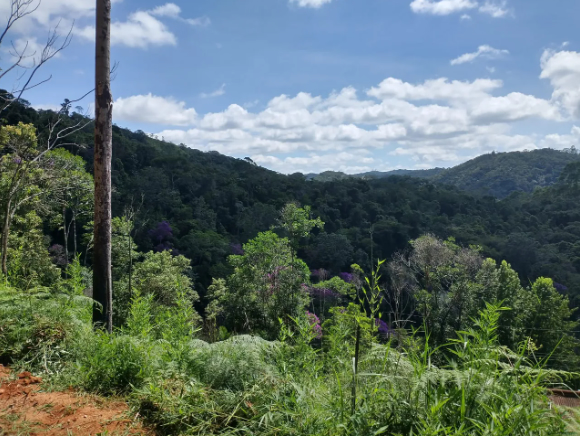 Chácara à venda com 1 quarto, 5000m² - Foto 3