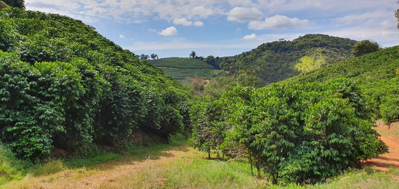 Chácara à venda com 6 quartos, 2160000m² - Foto 2