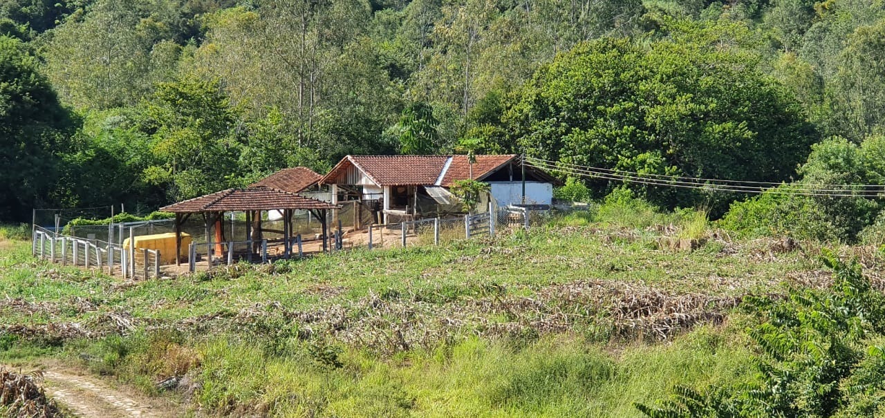 Chácara à venda com 6 quartos, 2160000m² - Foto 9