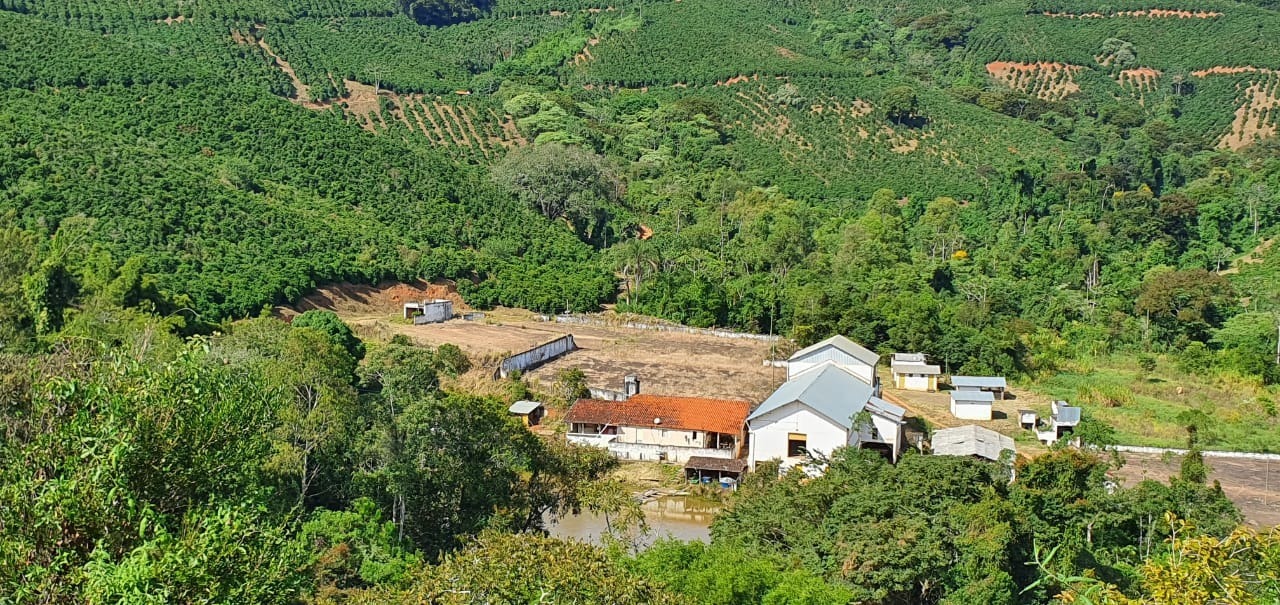 Chácara à venda com 6 quartos, 2160000m² - Foto 10