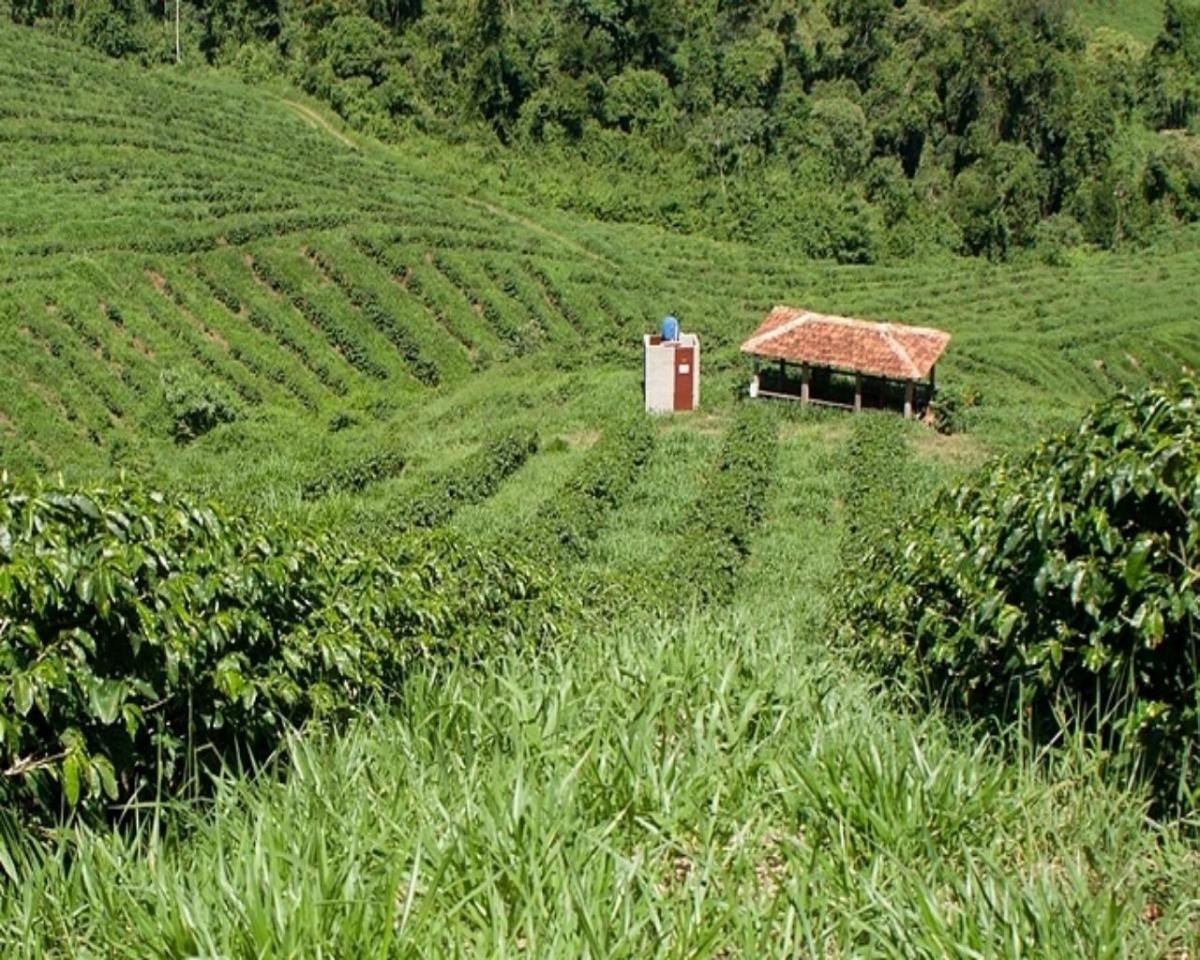 Chácara à venda com 6 quartos, 2160000m² - Foto 15