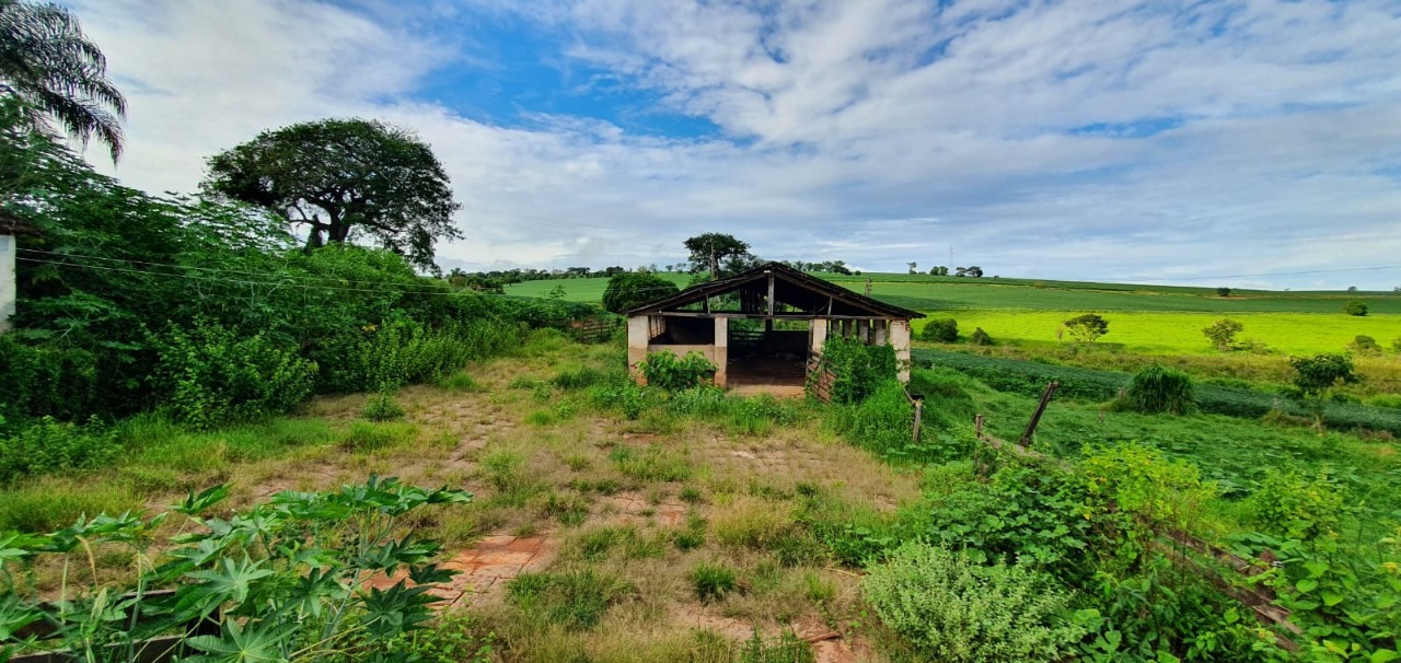 Chácara à venda com 3 quartos, 774400m² - Foto 15