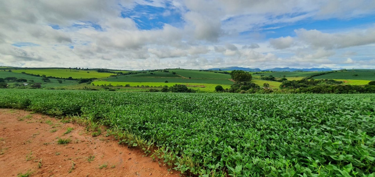 Chácara à venda com 3 quartos, 774400m² - Foto 6