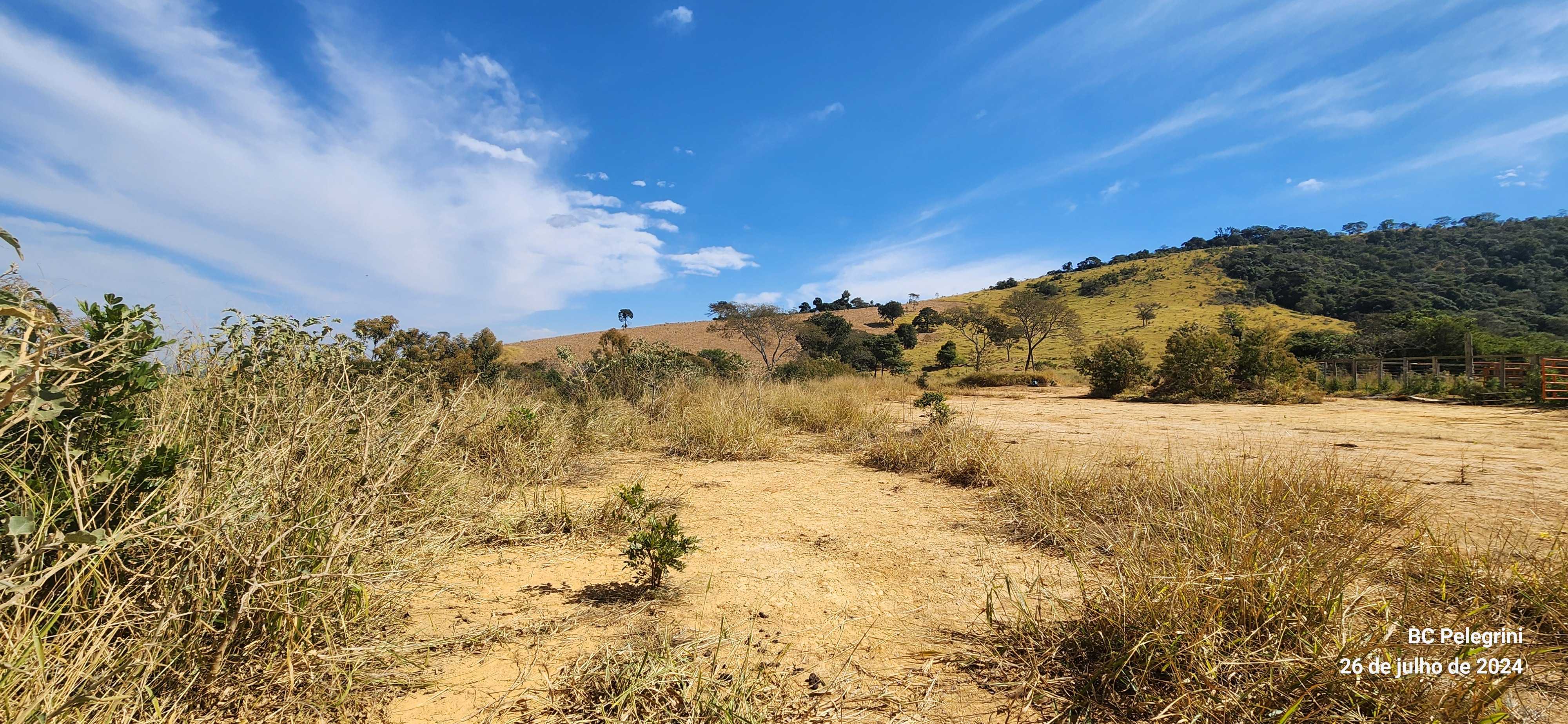 Chácara à venda com 5 quartos, 6000000m² - Foto 22