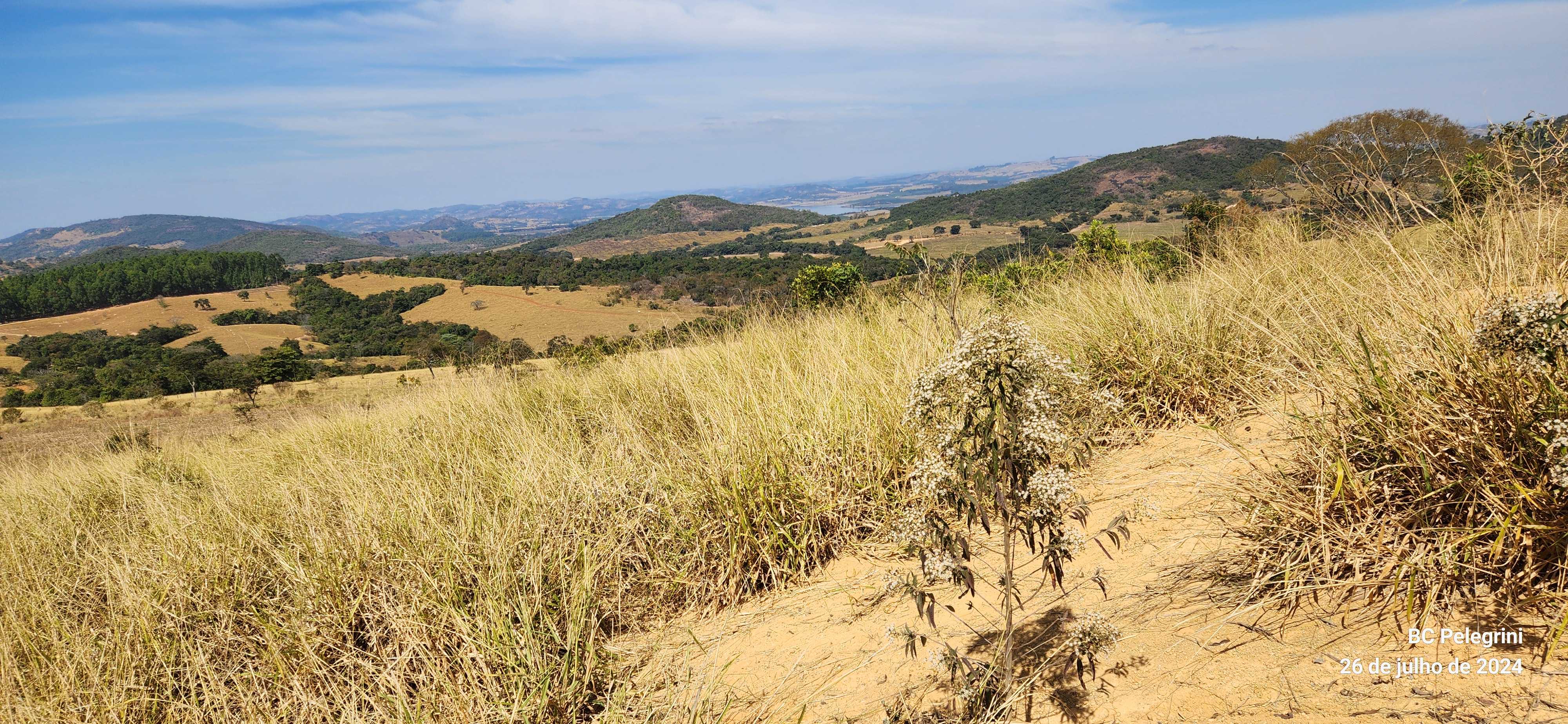 Chácara à venda com 5 quartos, 6000000m² - Foto 20