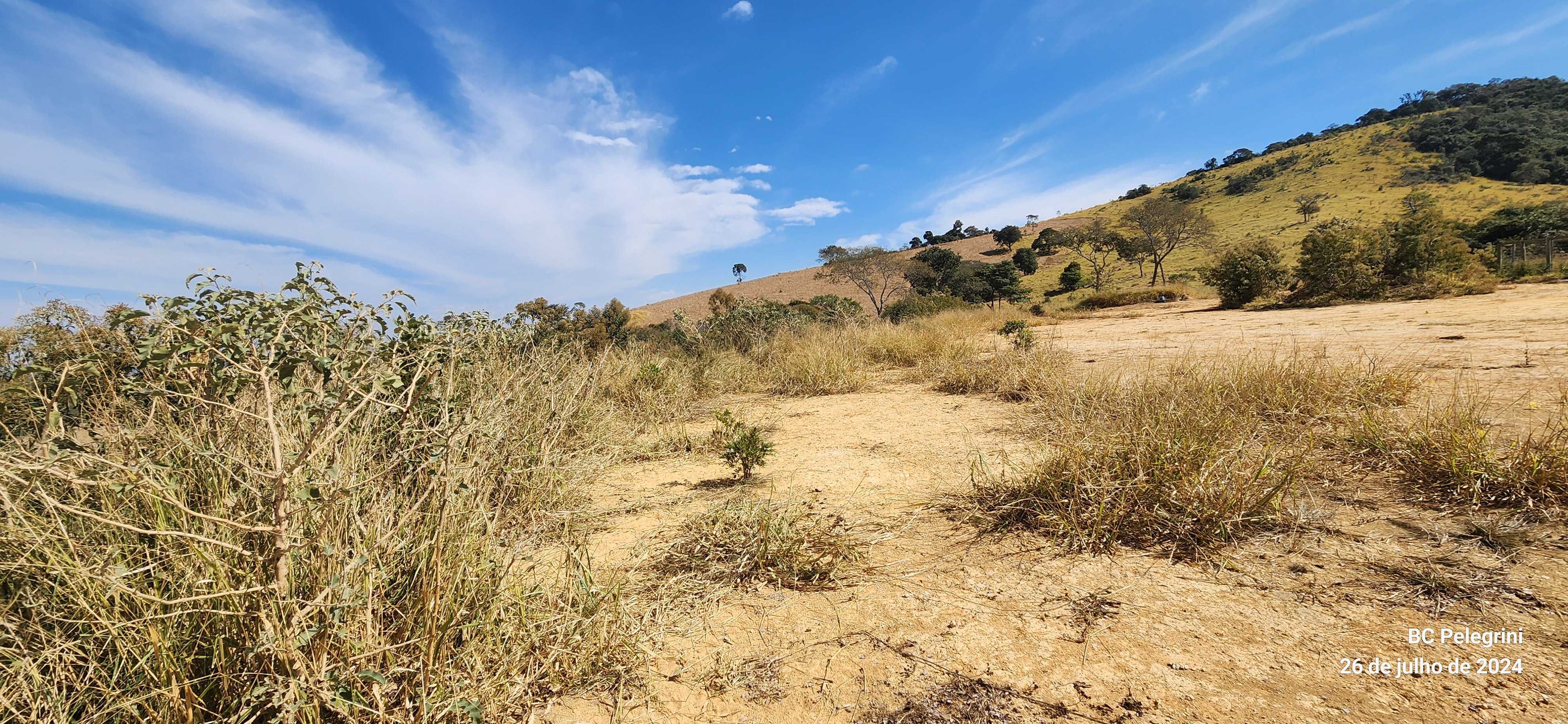 Chácara à venda com 5 quartos, 6000000m² - Foto 4