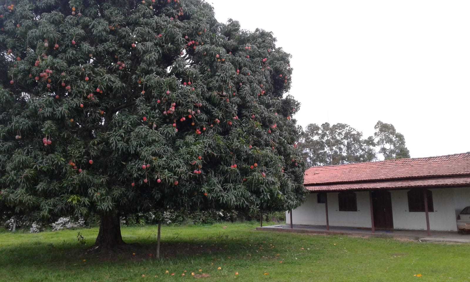 Chácara à venda com 3 quartos, 32600000m² - Foto 14