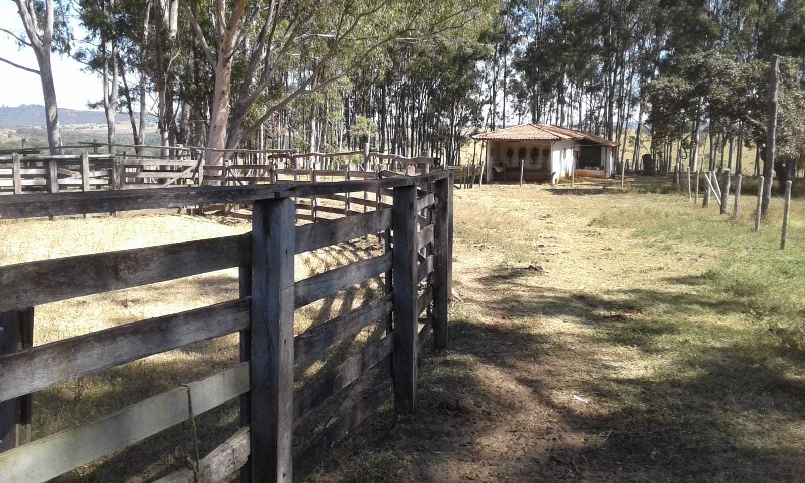 Chácara à venda com 3 quartos, 32600000m² - Foto 8