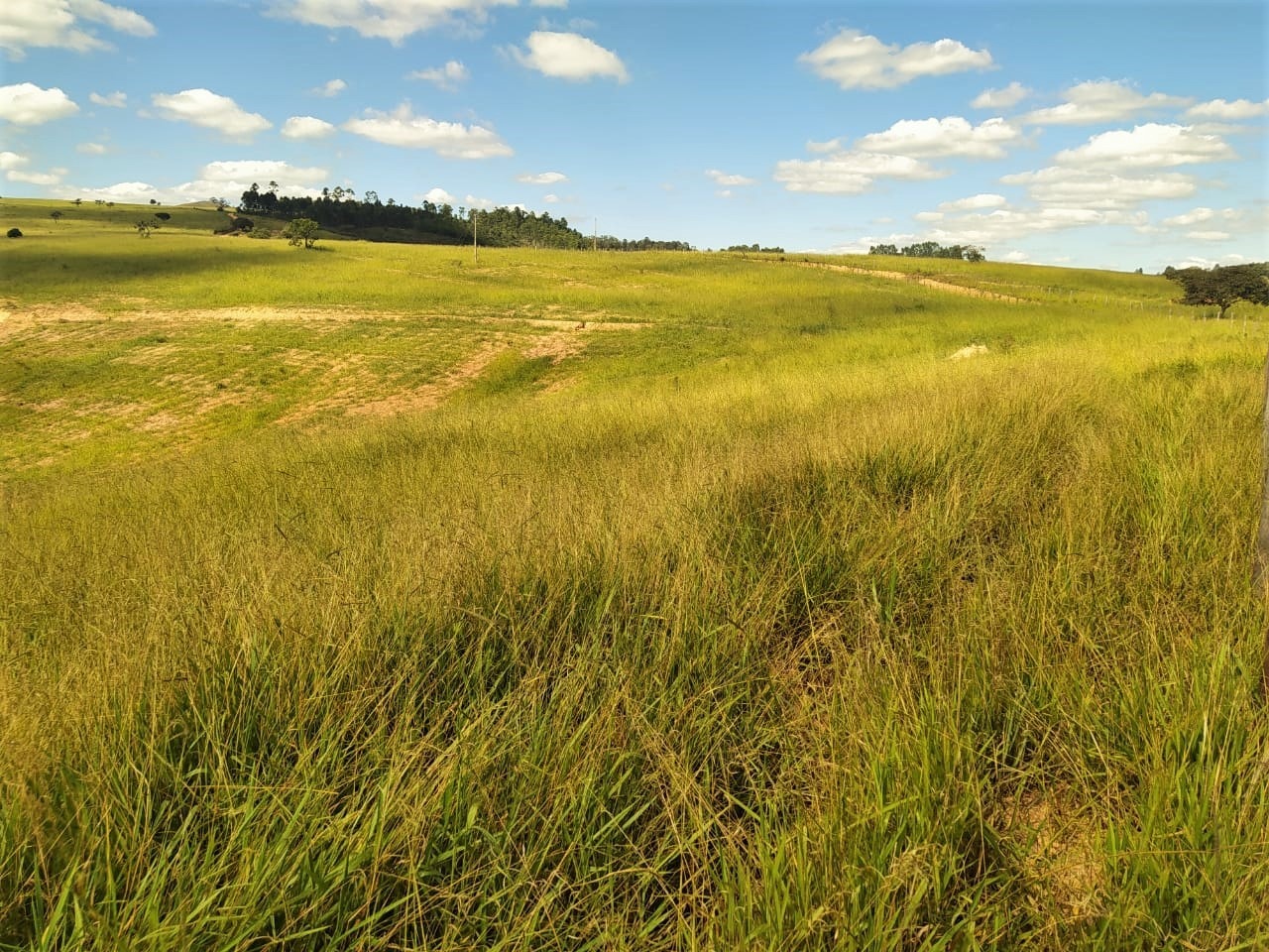 Chácara à venda com 2 quartos, 3250000m² - Foto 4