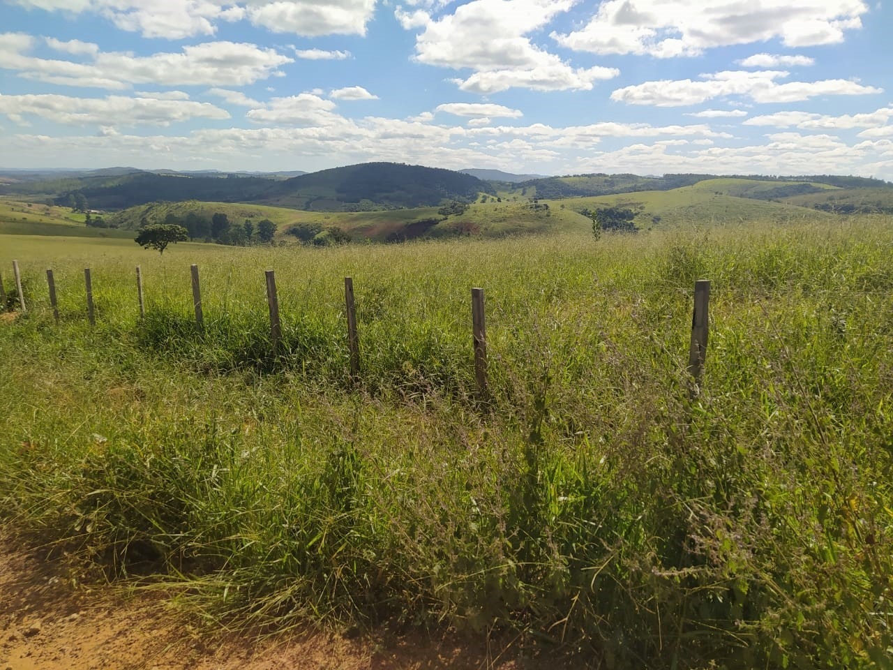 Chácara à venda com 2 quartos, 3250000m² - Foto 5