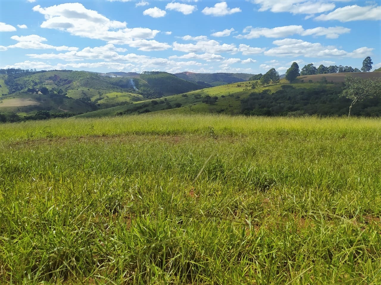 Chácara, 2 quartos, 325 hectares - Foto 3