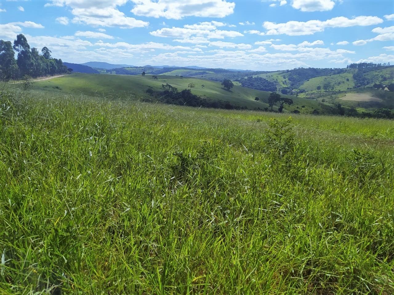 Chácara, 2 quartos, 325 hectares - Foto 2