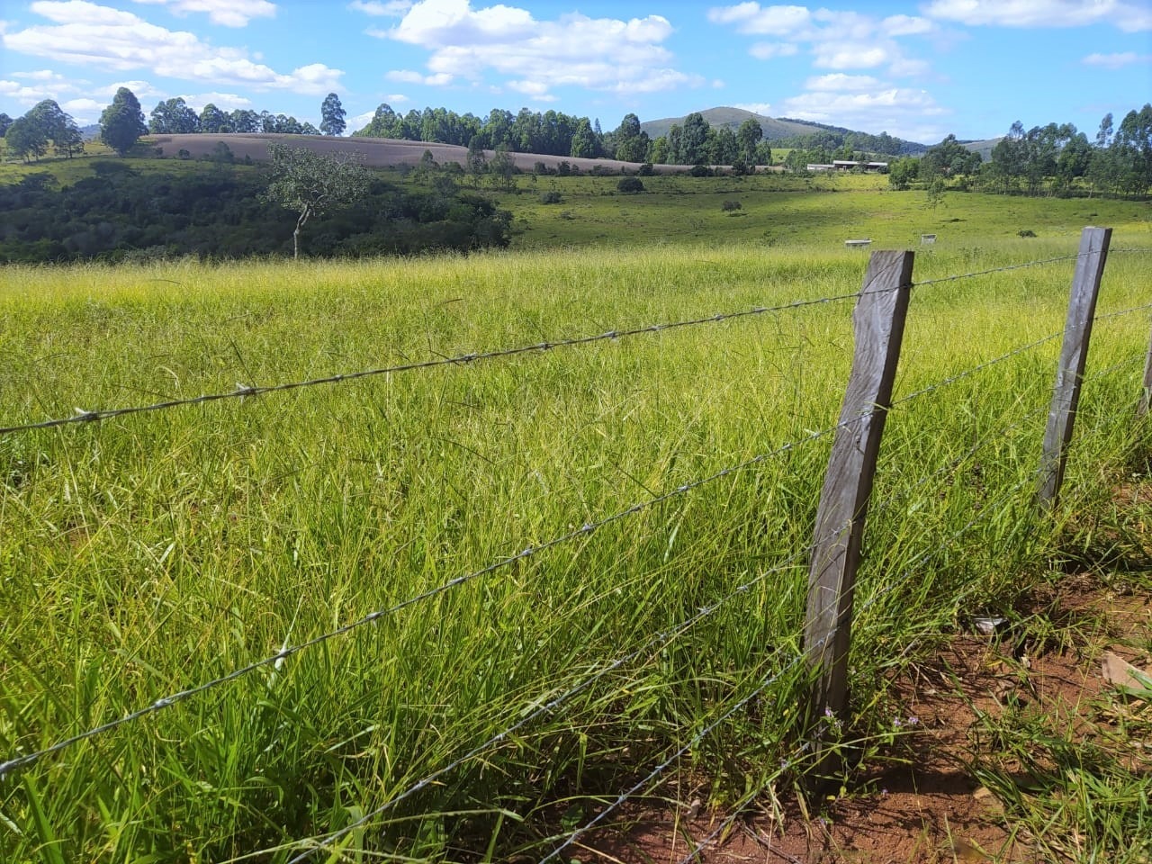 Chácara, 2 quartos, 325 hectares - Foto 1