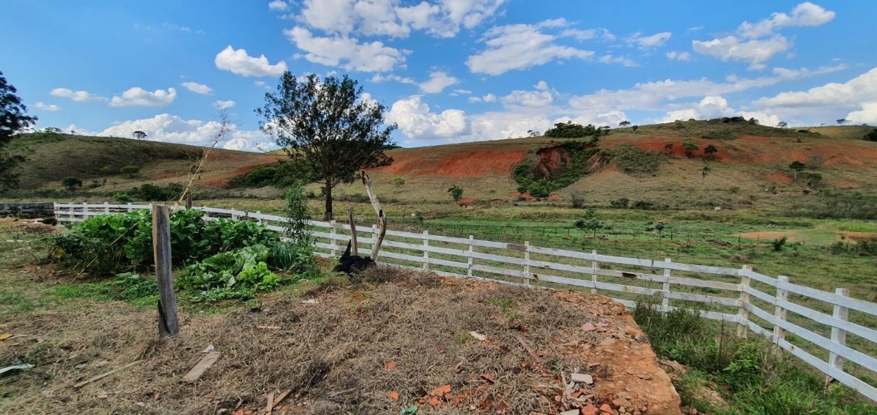 Chácara à venda com 2 quartos, 3250000m² - Foto 10