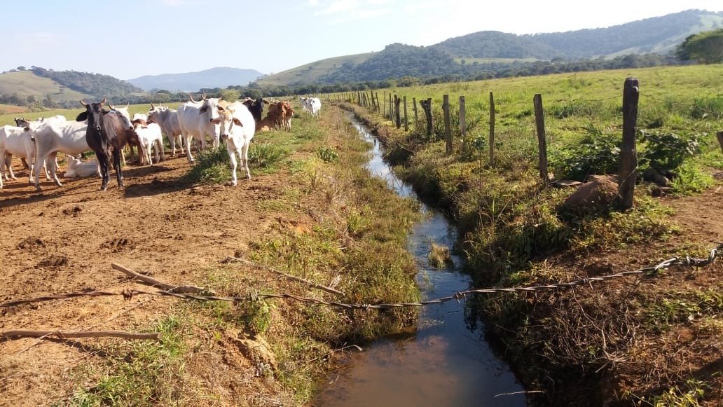 Chácara à venda com 2 quartos, 1766600m² - Foto 7