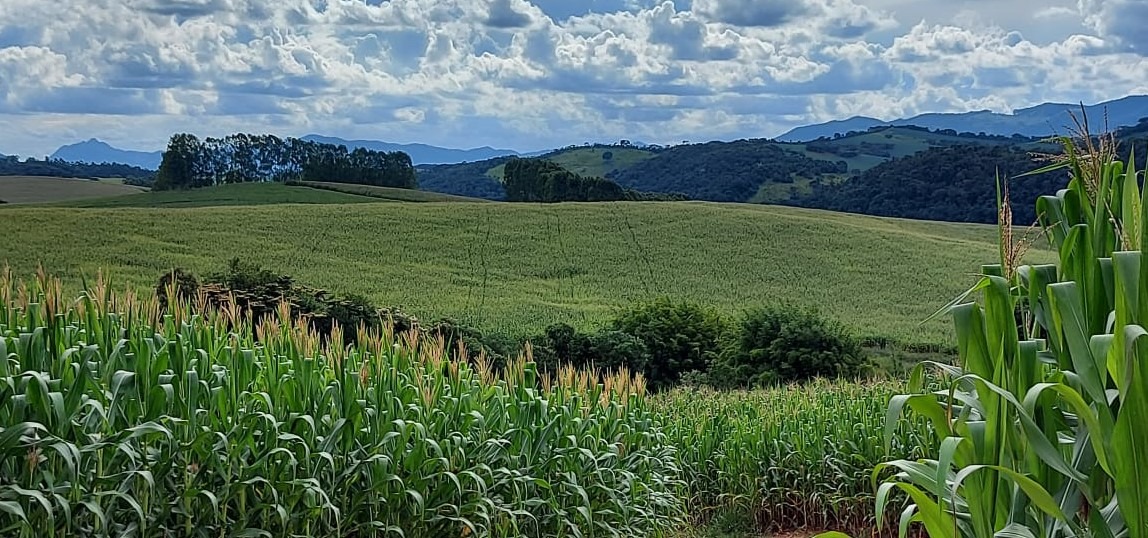 Chácara à venda com 2 quartos, 1766600m² - Foto 3