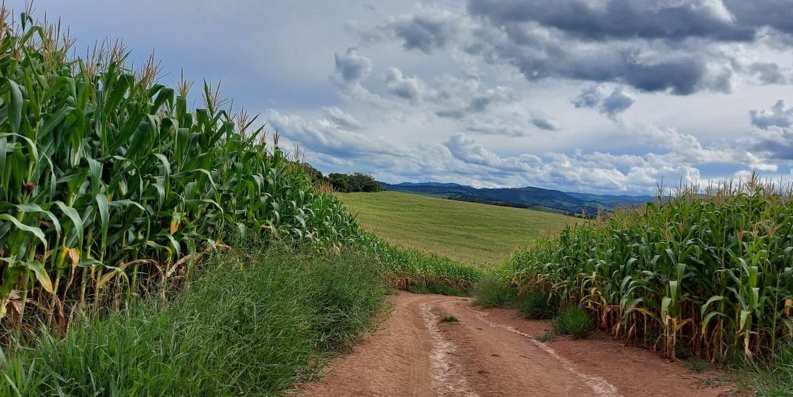 Chácara à venda com 2 quartos, 1766600m² - Foto 1