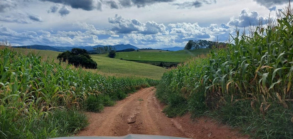 Chácara à venda com 2 quartos, 1766600m² - Foto 2