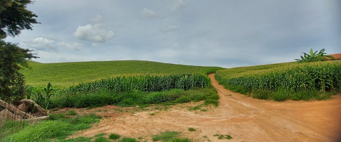 Chácara à venda com 2 quartos, 1766600m² - Foto 4