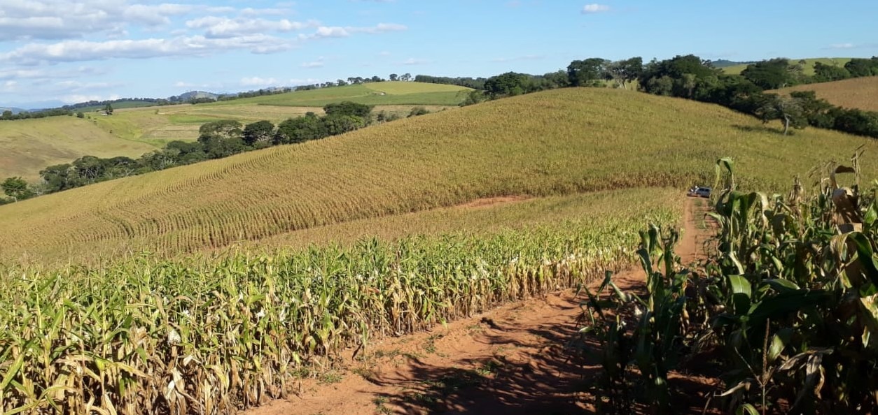 Chácara à venda com 2 quartos, 1766600m² - Foto 6