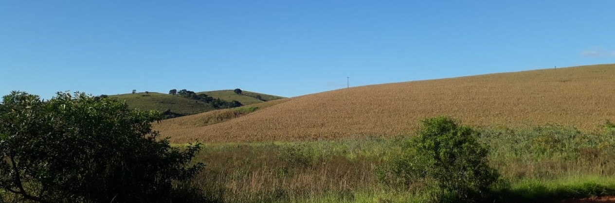 Chácara à venda com 2 quartos, 1766600m² - Foto 10