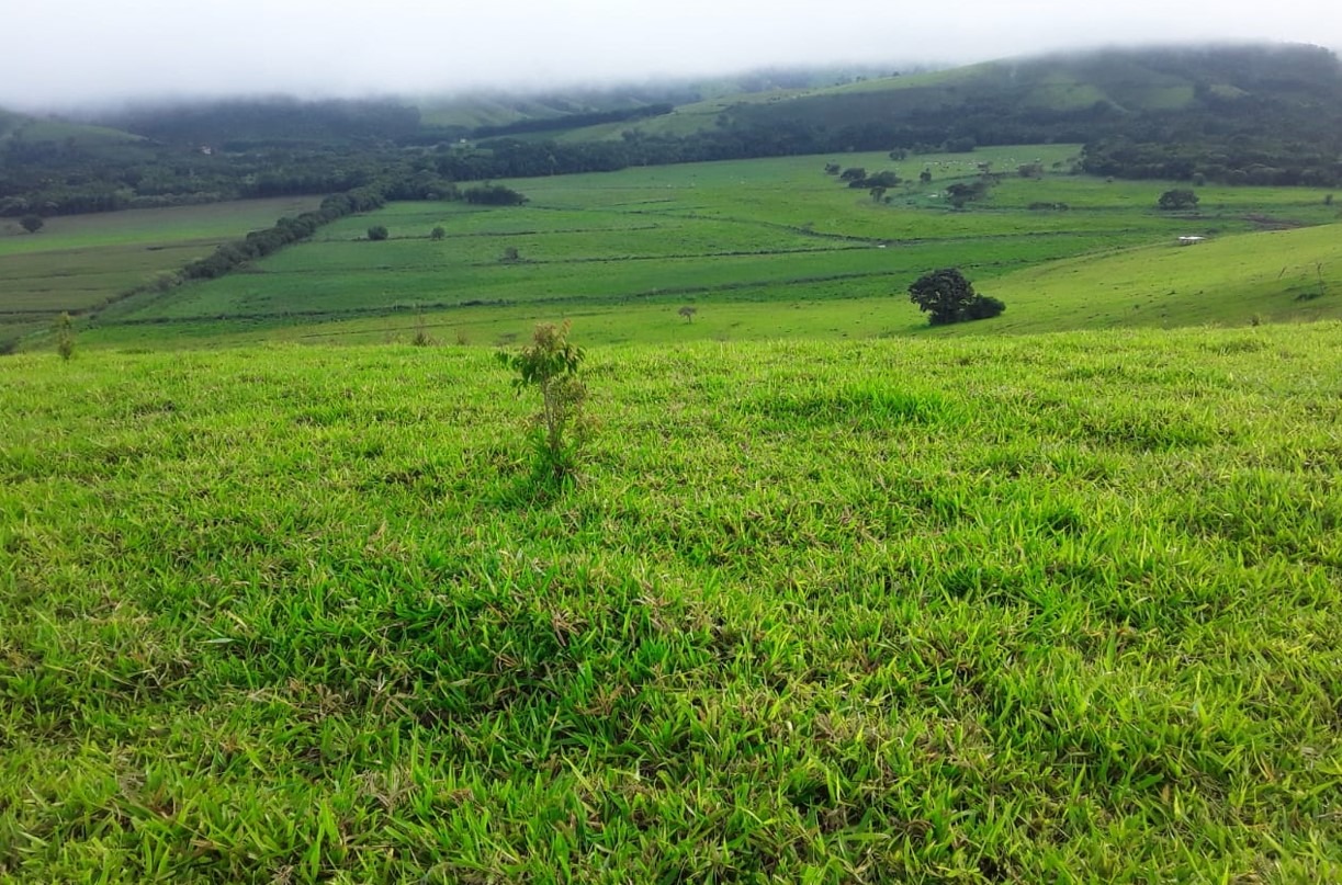 Chácara à venda com 2 quartos, 1766600m² - Foto 13