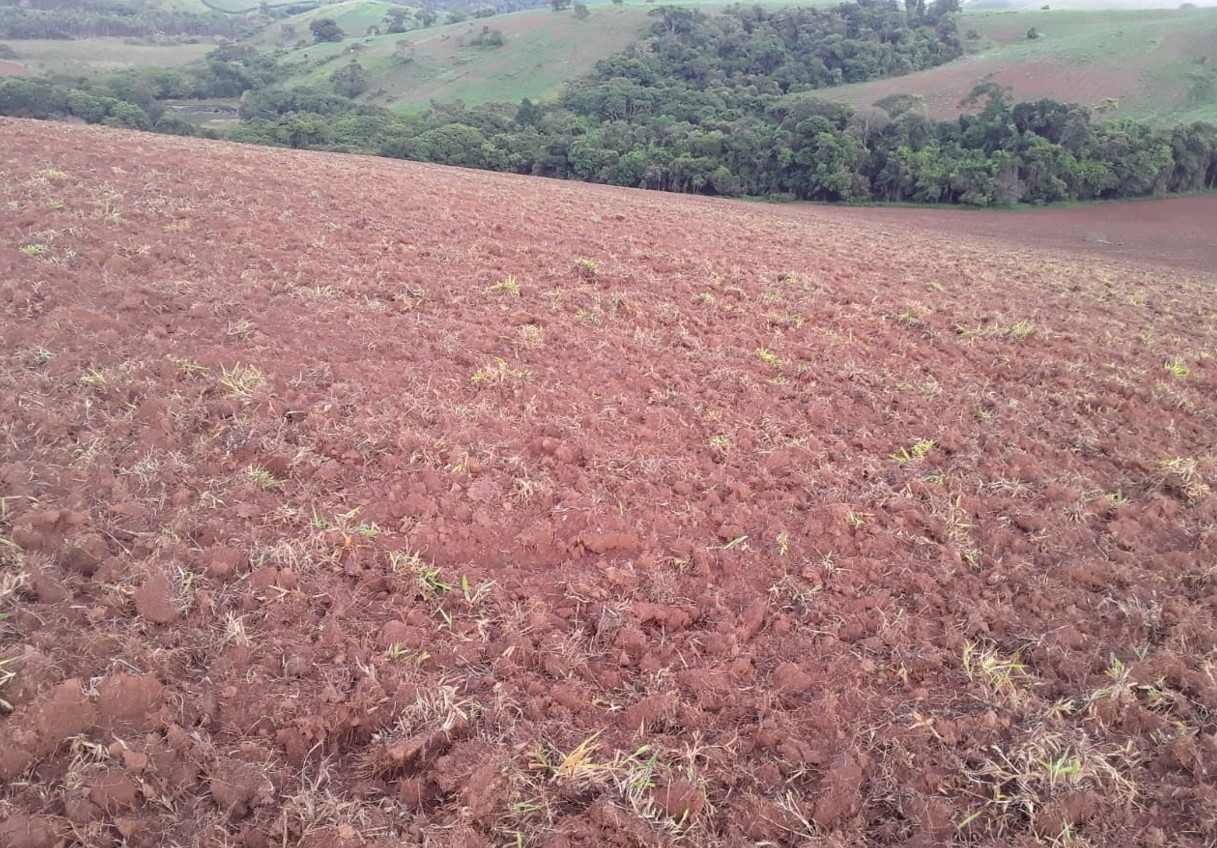 Chácara à venda com 2 quartos, 1766600m² - Foto 18