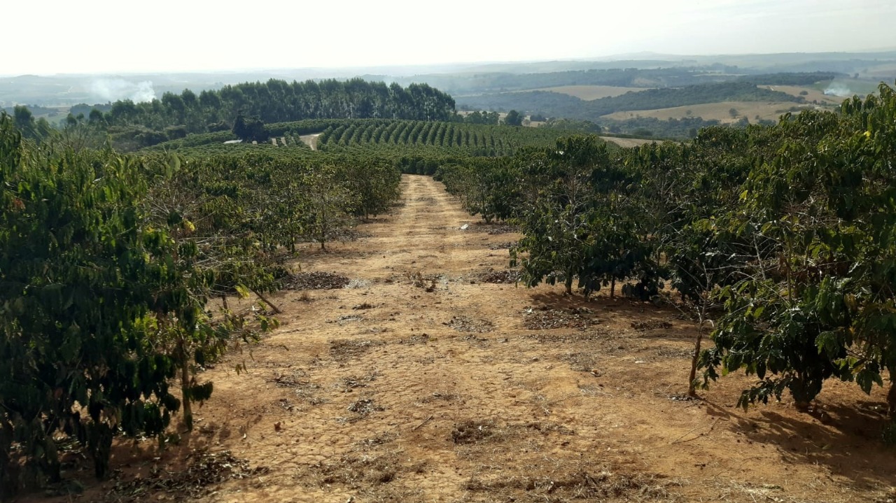 Chácara à venda com 1 quarto, 800000m² - Foto 6