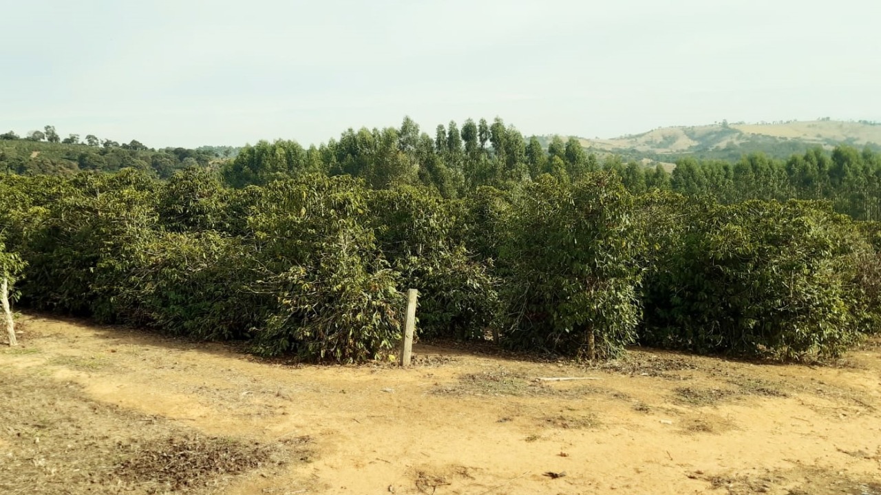 Chácara à venda com 1 quarto, 800000m² - Foto 8