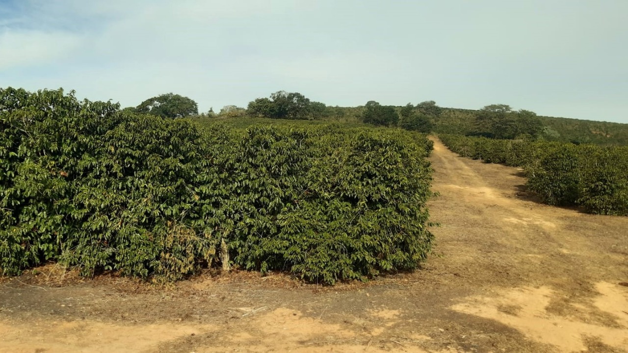 Chácara à venda com 1 quarto, 800000m² - Foto 9