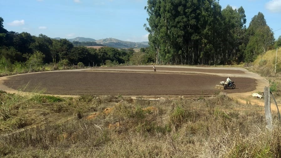 Chácara à venda com 1 quarto, 800000m² - Foto 19