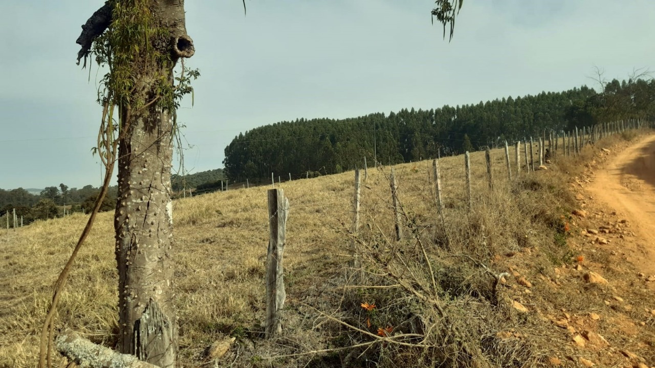 Chácara à venda com 1 quarto, 800000m² - Foto 24