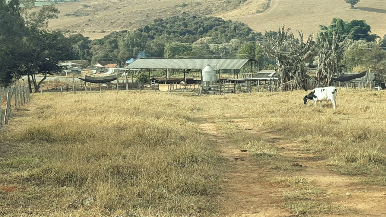 Chácara à venda com 1 quarto, 800000m² - Foto 25