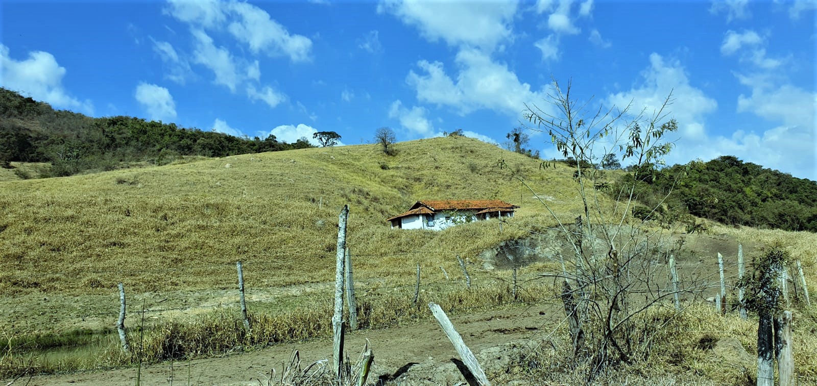 Chácara à venda com 3 quartos - Foto 9