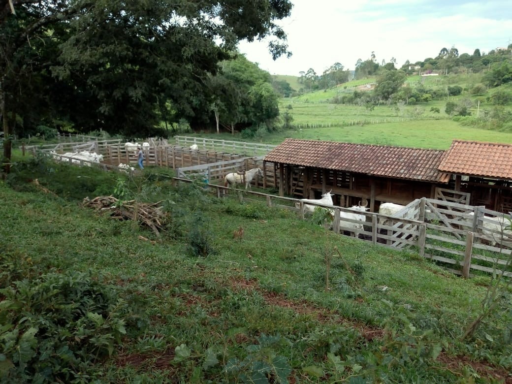 Chácara à venda com 1 quarto, 532400m² - Foto 7