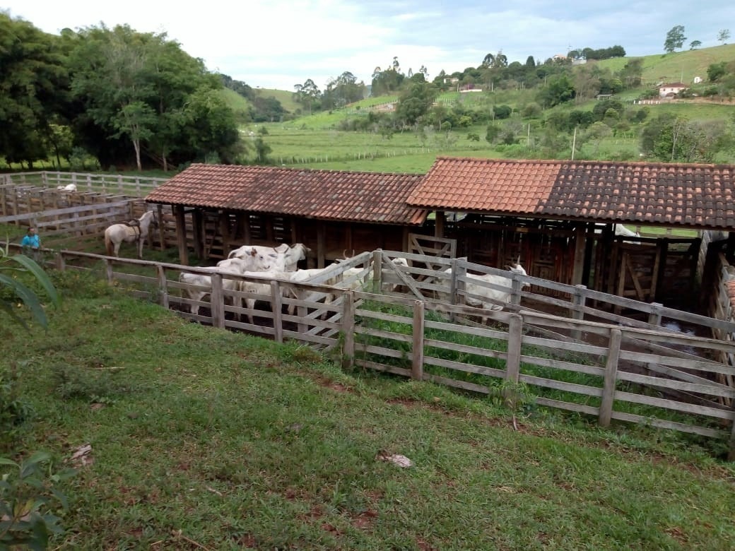 Chácara à venda com 1 quarto, 532400m² - Foto 15