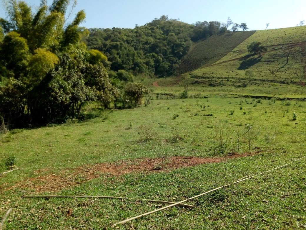 Chácara à venda com 1 quarto, 532400m² - Foto 2